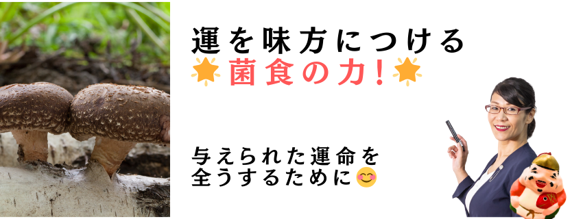 運を味方につける🌟菌食の力！🌟
