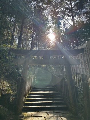 飴ちゃんには真心がつまっている😊🍬